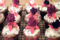 How To Make Hummingbird Cupcakes: Cupcake Show #1
