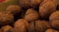 Visiting a Walnut Farm in NorCal