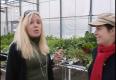 Greenhouse Hydroponic Tour