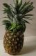 The Right Way To Cut A Pineapple Video