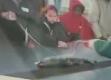 I Fish Ny Programabout Fishing