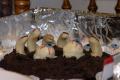 Almond Gateau Recipe