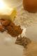 How To Make Glazed Salted Almonds