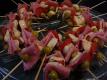 Kabob Appetizers