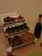 Holiday Appetizer Meatballs