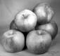 Bite-size Apple Fritters