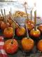 How To Make Apple Jonathan