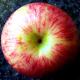 How To Make Lime-apple Squares