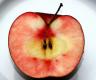 Apple Surprise