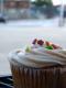Applesauce Cupcakes