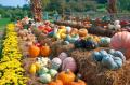 How To Make Autumn Spread