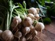 Spiced Baby Turnips
