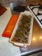 Bacon and Liver Pate