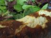 How To Make Baked Lettuce
