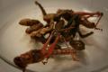 How To Make Barbecued Frog Legs
