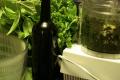 How To Make Basil Oil