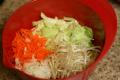 How To Make Bean Sprouts & Carrot
