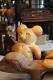 How To Make Teddy Bear Gift Bread