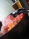 How To Make Beer Rice