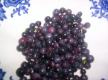 Instant Zabaglione Berry Bowl