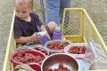 How To Make Berry Filling