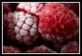 How To Make Berry Fruit Freeze