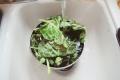 How To Make Best Ever Brussels Sprouts