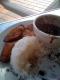 Cuban Black Beans With Brown Rice