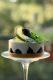 Creamy Blackberry Dessert
