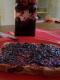 How To Make Blackberry Jam