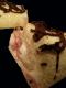 How To Make Blueberry Angel Food Cake Rolls