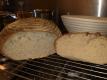 Quick-Rise Bread