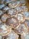 How To Make Breadcrumb Griddle Cakes
