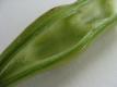 How To Make Broad Beans With Peppercorns