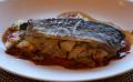 Brook Trout