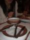 Buffet Salad Bowl