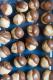How To Make Butter Balls