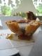 How To Make Butter Pastry For Tarts