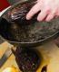 How To Make Caviar Dip