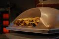 How To Make Cheese Boeregs