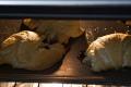 Cheese 'N Wiener Crescents
