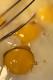 How To Make Cheese Tarts