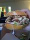 How To Make Curried Chicken And Apple Sandwich