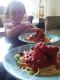 Fricasseed Chicken Breasts With Spaghetti