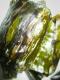 How To Make Chicken In Banana Leaves