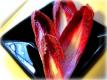 Chicory Risotto