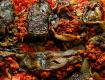 How To Make Chile Relleno