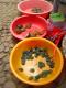 How To Make China Grass Pudding