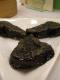 Chiu Chow Dumplings Recipe