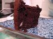 Chocolate Angel Food Cake